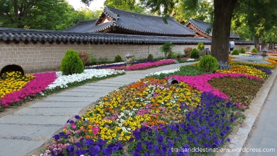 Flowers bloom outside the palace in Jeonju Hanok Village